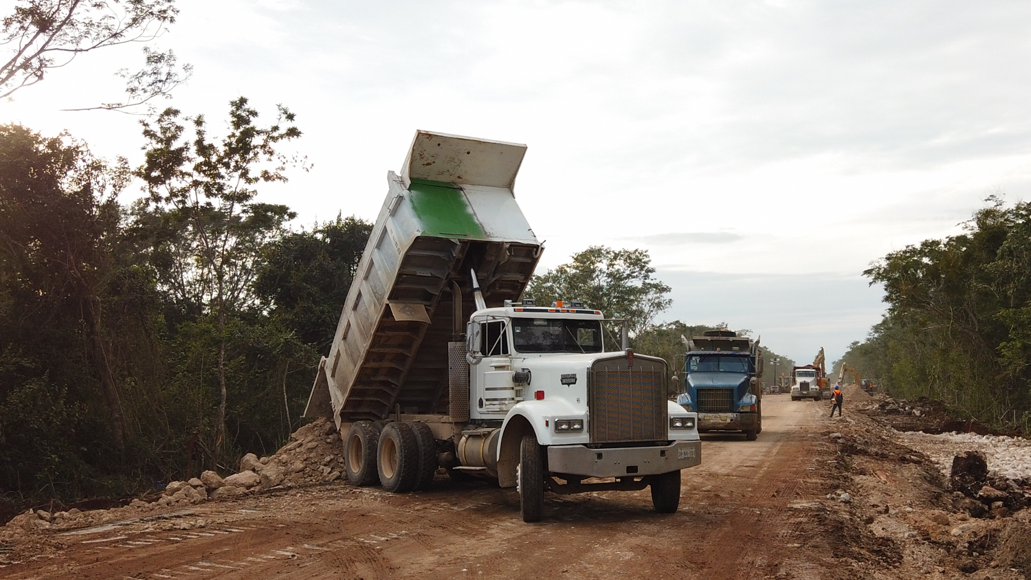 Aseguran que el Tren Maya contribuye a la reactivación económica del sureste