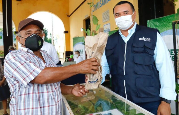 Mediante “Adopta un Árbol”, el Ayuntamiento apoya reforestación de comunidades afectadas por las inundaciones