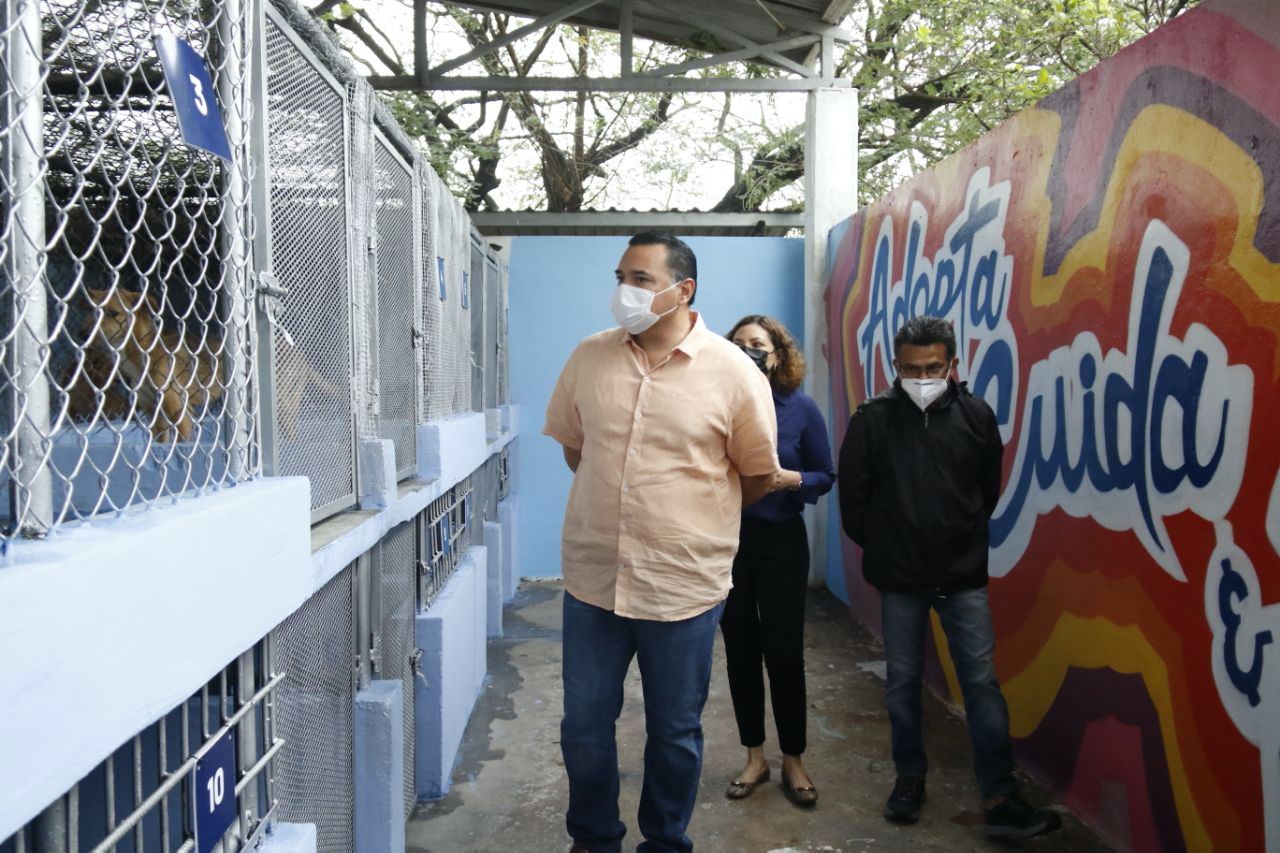 El alcalde supervisa mejoras al Centro de Control Canino y Felino