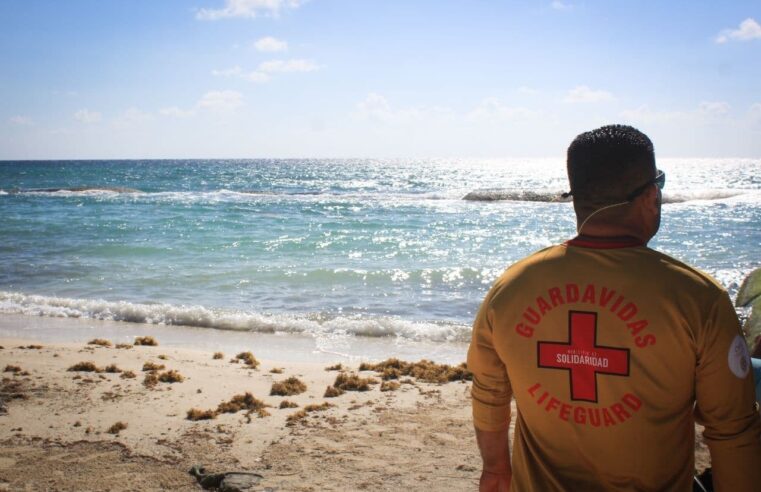 Cierran playa en Quintana Roo por avistamiento de tiburones