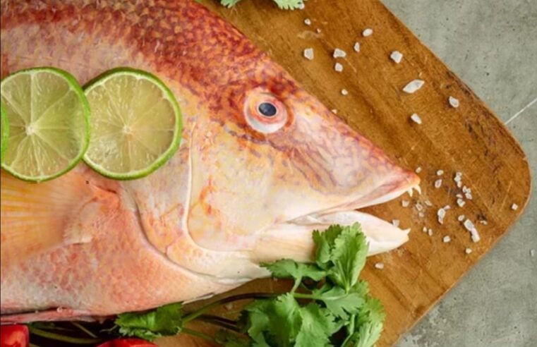Una ONG denuncia que restaurantes de Mérida engañan al cliente con el pescado que venden