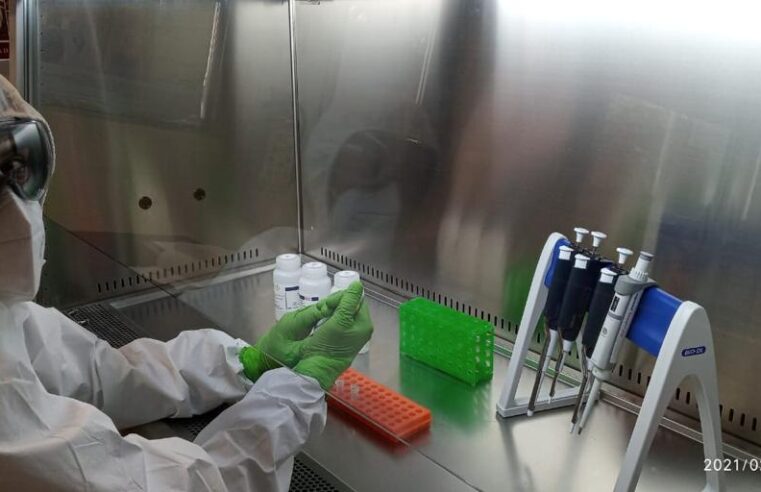 Científicos del CICY detectan el SARS-CoV-2 en aguas residuales en Quintana Roo