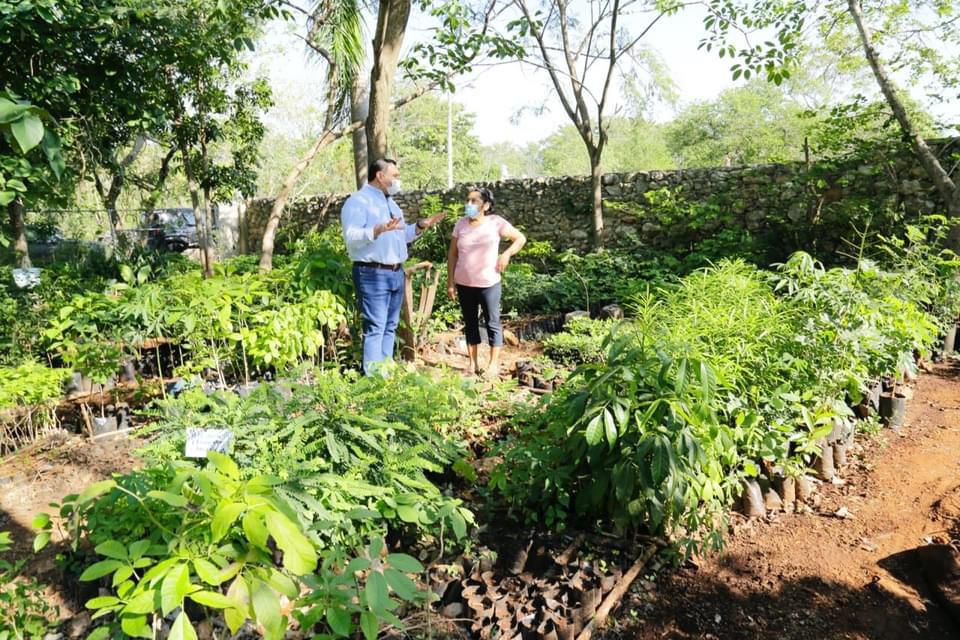 Más infraestructura verde para Mérida: Renán Barrera