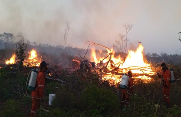 Incendios forestales ya afectaron mil 422 hectáreas en Yucatán
