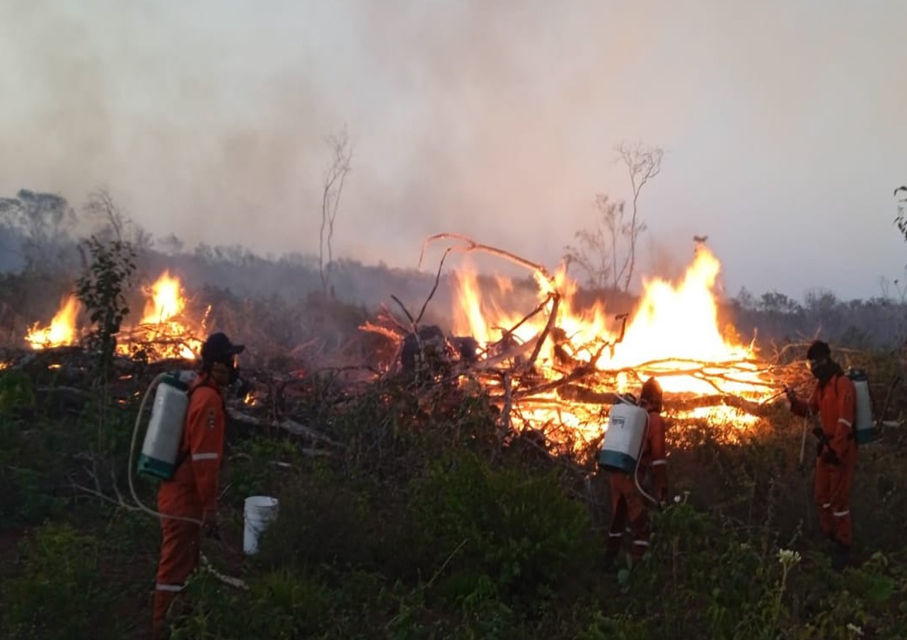 Incendios forestales ya afectaron mil 422 hectáreas en Yucatán