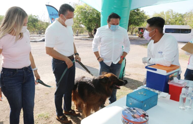 El Ayuntamiento ofrece estrategias preventivas para un mejor cuidado de los animales de compañía