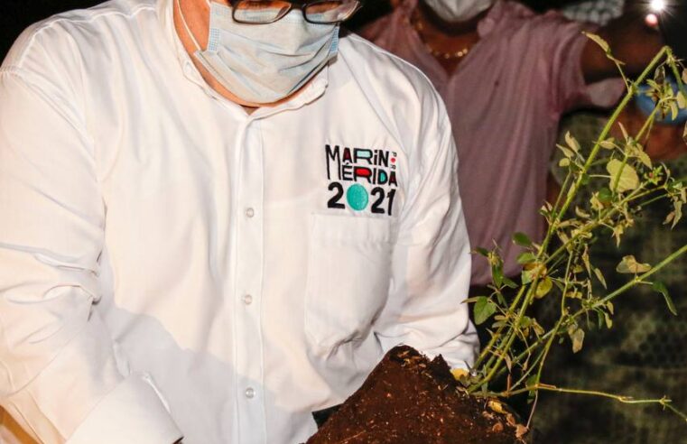 Una Mérida más sustentable y amigable con el medio ambiente, objetivo de Ramírez Marín