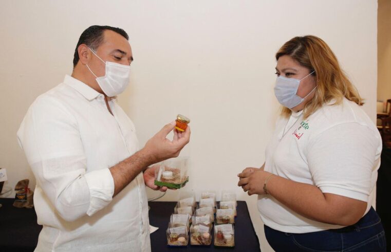 Incentivo municipal a la economía de Mérida a través de los emprendedores