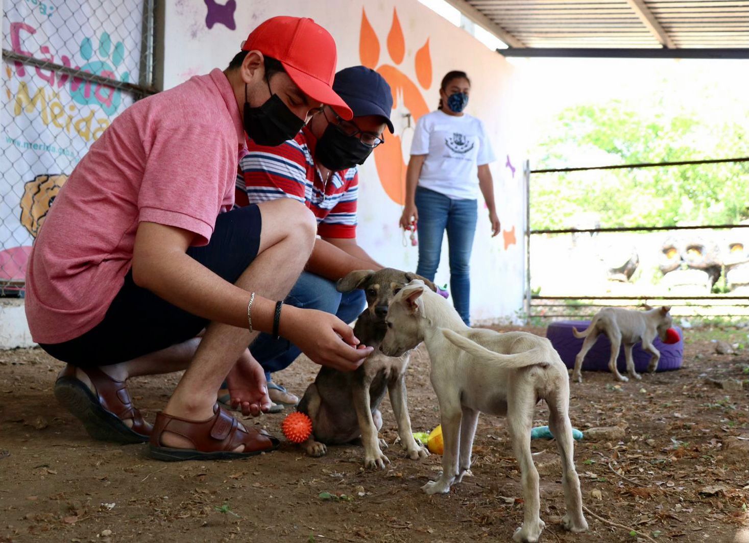 El Ayuntamiento fomenta la adopción responsable a través de la convivencia con los animales