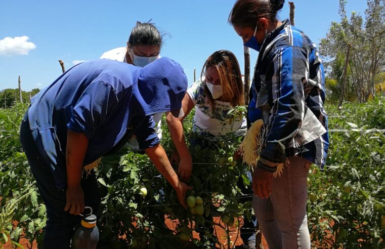 «Carmita» se compromete con madres emprendedoras