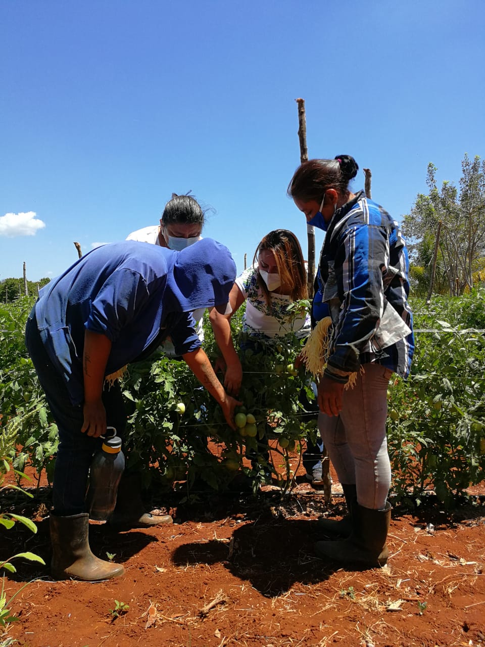 «Carmita» se compromete con madres emprendedoras