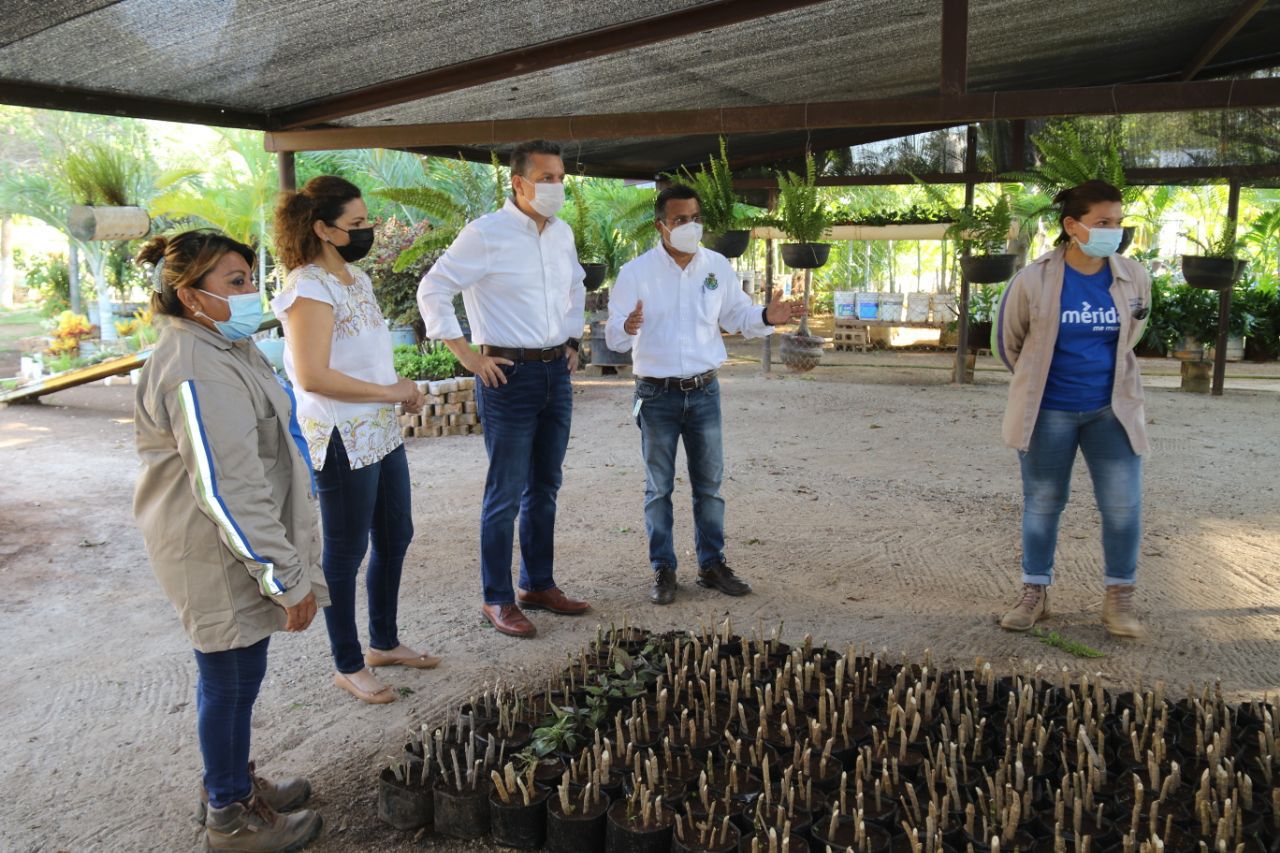 El alcalde Alejandro Ruz visita el vivero municipal