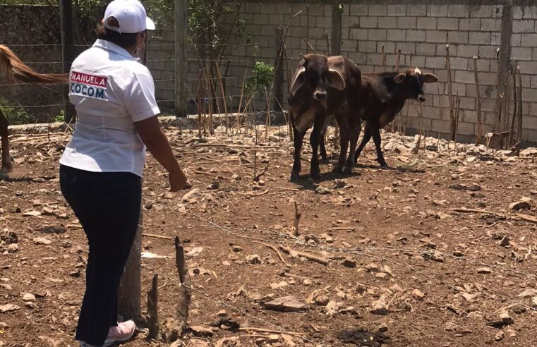 Es necesario implementar una política ambiental, asegura Manuelita Cocom