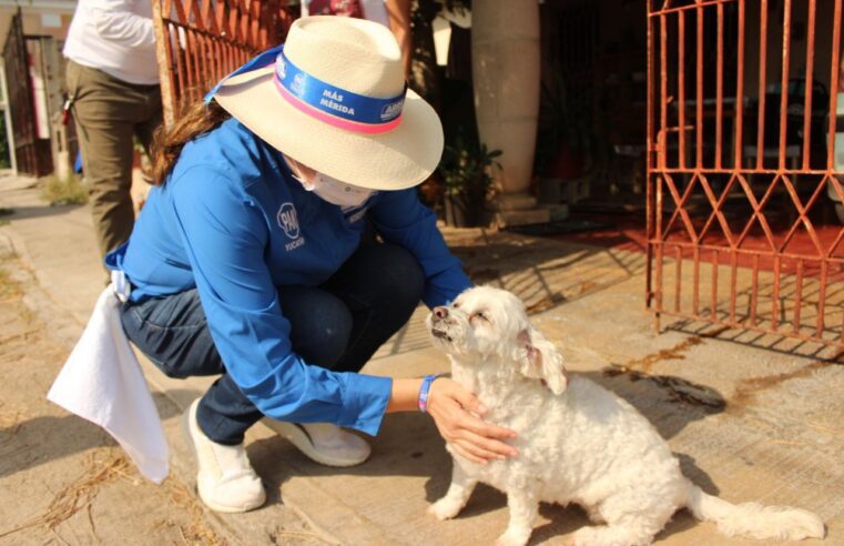 Abril Ferreyro comprometida con el cuidado a las mascotas.