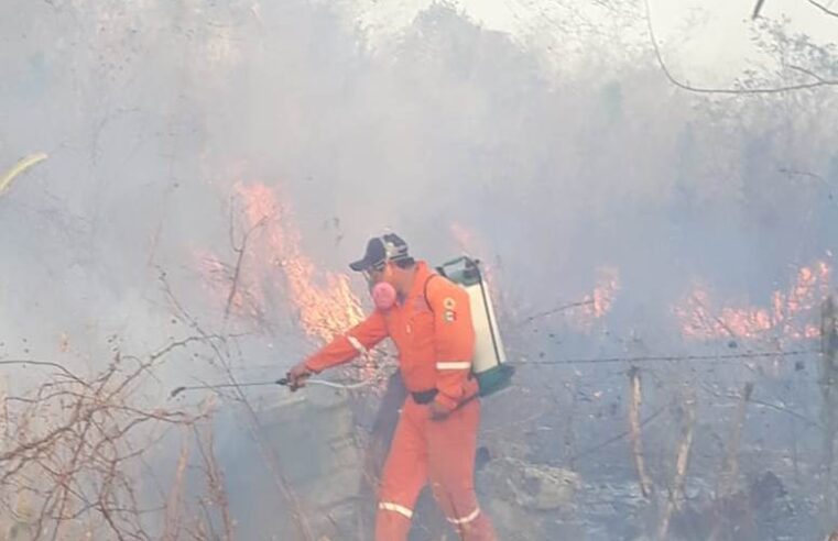 Este año los incendios forestales han afectado 35 municipios de Yucatán