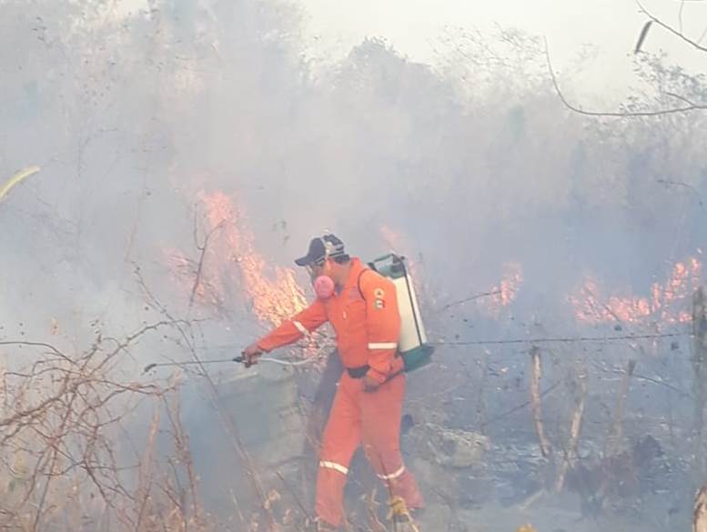 Este año los incendios forestales han afectado 35 municipios de Yucatán