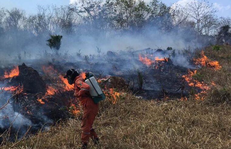 Menos incendios en marzo en Yucatán que hace un año, gracias a la conciencia ciudadana: Procivy