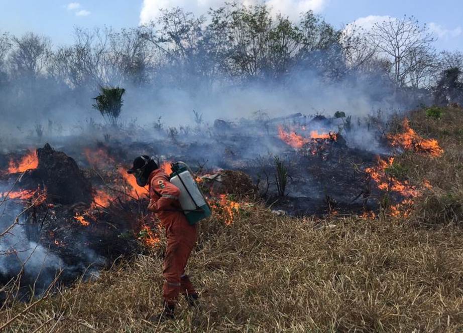 Menos incendios en marzo en Yucatán que hace un año, gracias a la conciencia ciudadana: Procivy