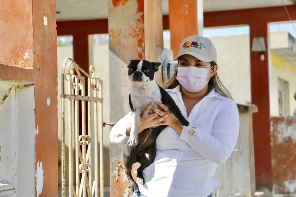 Urgente procurar el cuidado pleno de nuestros animales: Pili Santos