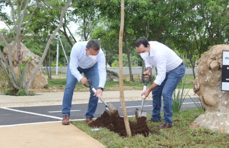 Gobierno del Estado y Ayuntamiento de Mérida superan meta de arborización