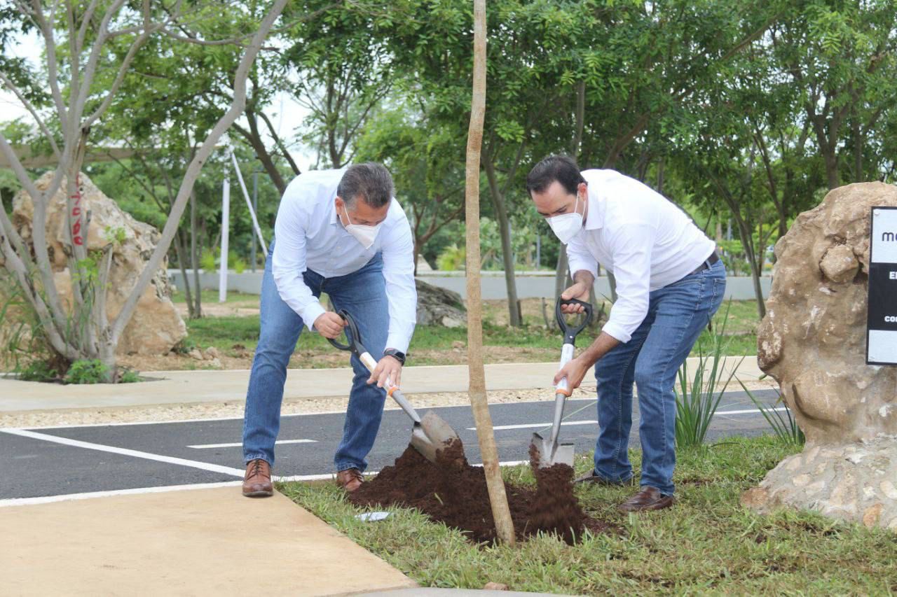 Gobierno del Estado y Ayuntamiento de Mérida superan meta de arborización