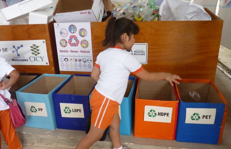 Reciclado del PET en Yucatán puede aumentar con la participación de la población: CICY