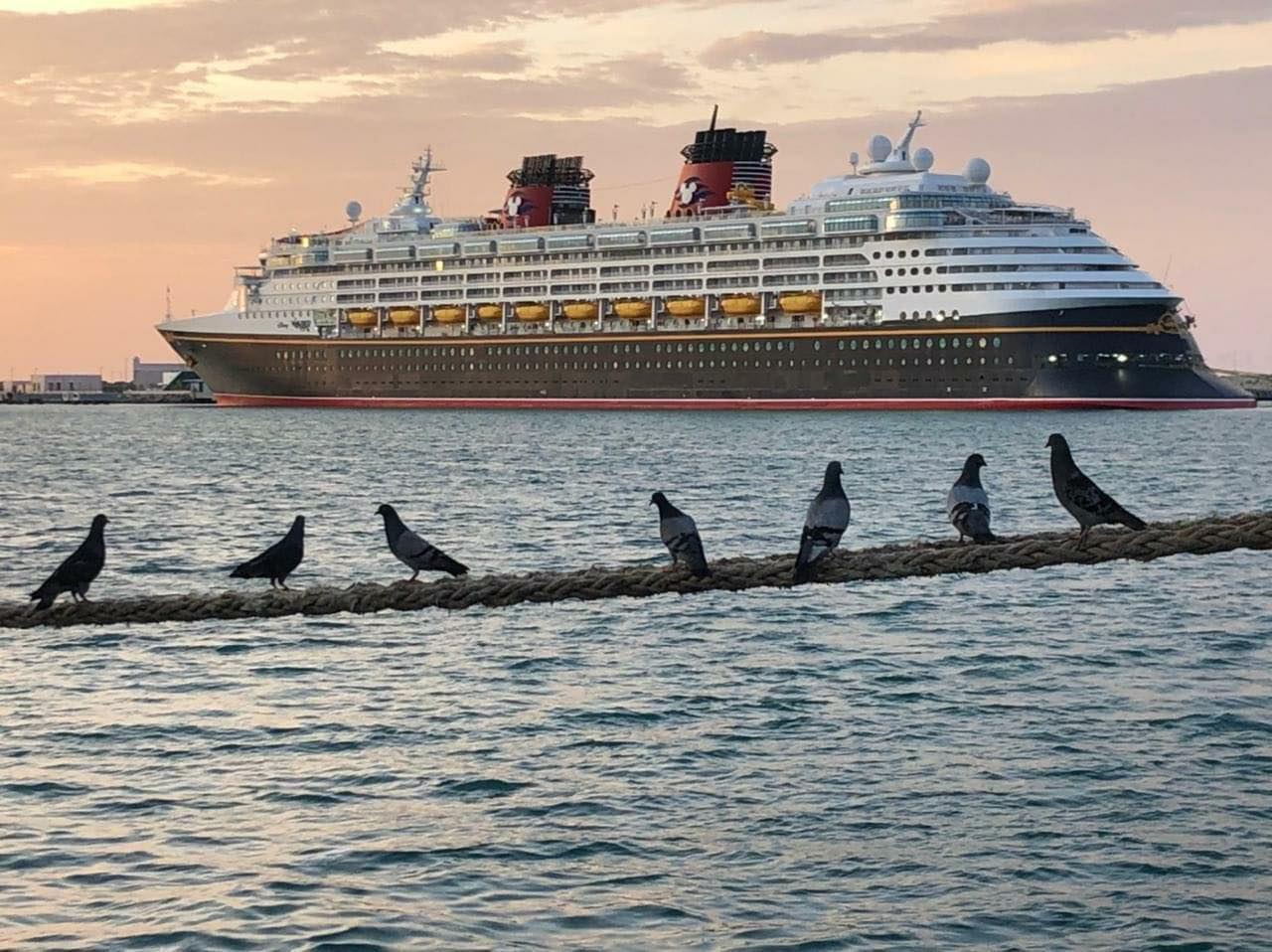 Zarpa de Yucatán el crucero Disney Wonder: concluye su mantenimiento en Progreso