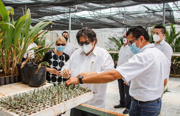 Embajadora de Finlandia realiza visita a la Biofábrica del CICY