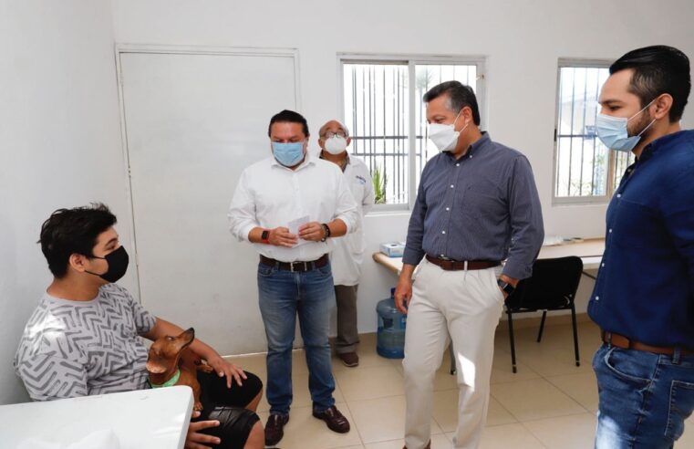 El Ayuntamiento de Mérida responsable y sensible en el cuidado de la fauna doméstica