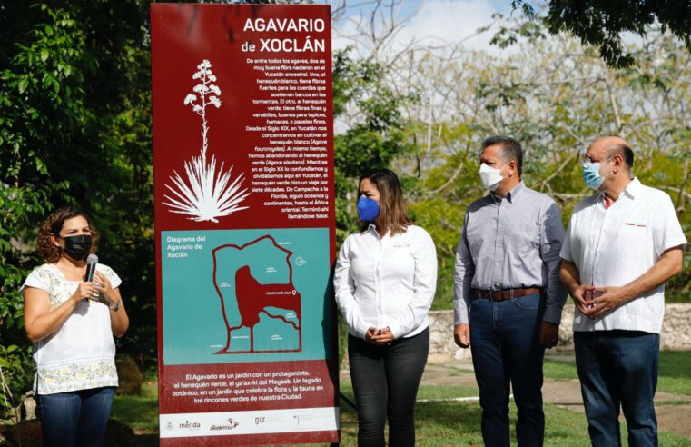 El Ayuntamiento fortalece alianzas para el trabajo a favor del medioambiente
