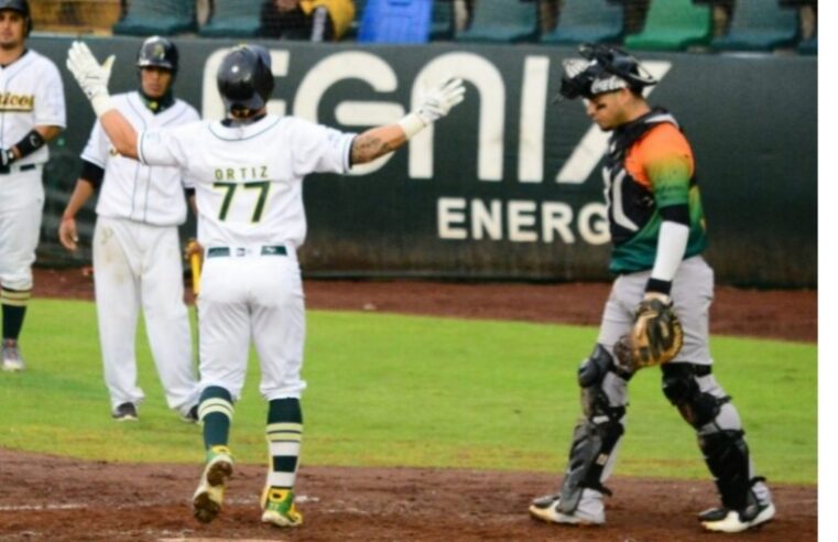 Pericos y Leones dividen honores en Puebla