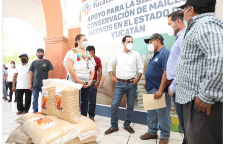 Mauricio Vila distribuye 230 toneladas de semilla de soya