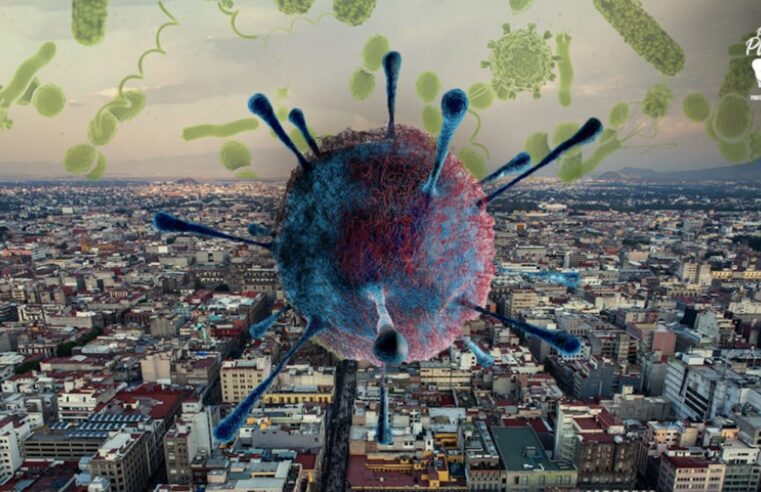 La UNAM encuentra patógeno causante del hongo negro en aire de la CDMX