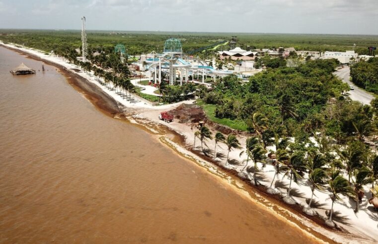 La NASA alerta sobre la llegada de grandes concentraciones de sargazo a Quintana Roo