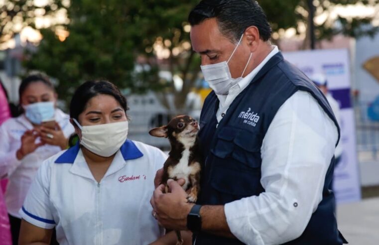 El Ayuntamiento se vincula con una App para facilitar la adopción de animales en resguardo
