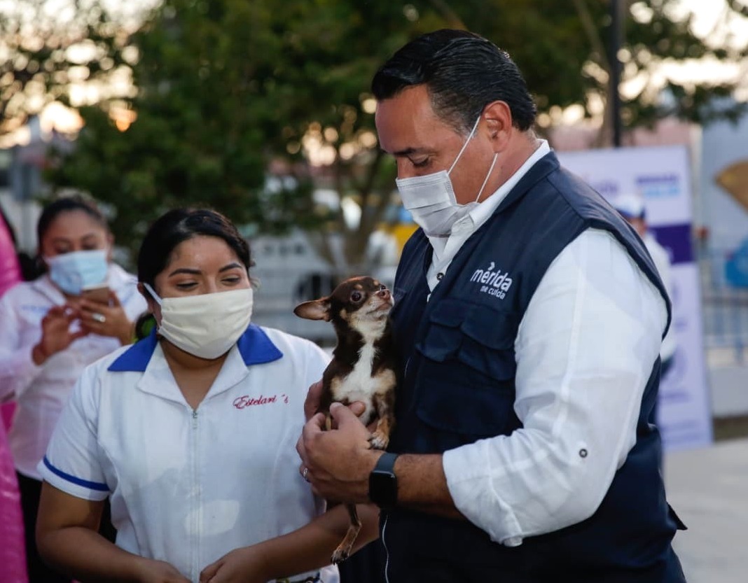 El Ayuntamiento se vincula con una App para facilitar la adopción de animales en resguardo