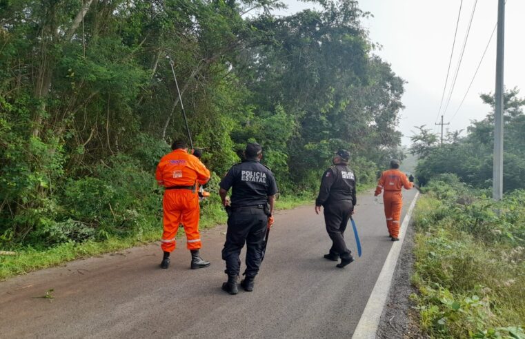 La SSP y Protección Civil continúan labores de limpieza para despejar tramos carreteros