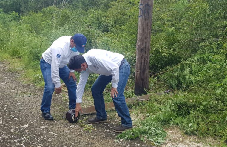 Japay asegura que trabaja sin descanso para regularizar  servicio afectado por Grace