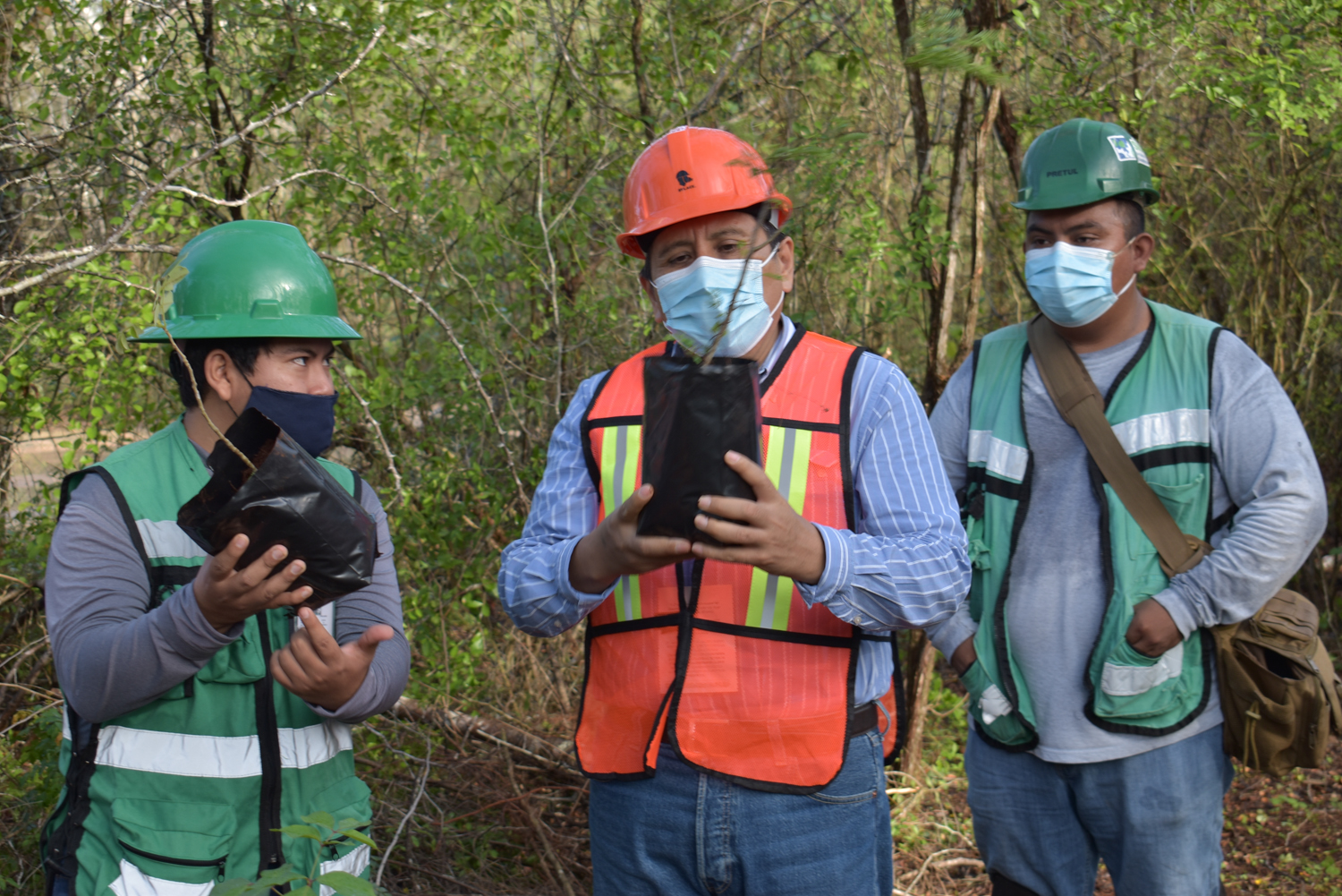 Asegura el Tren Maya que protege la flora y fauna de la región