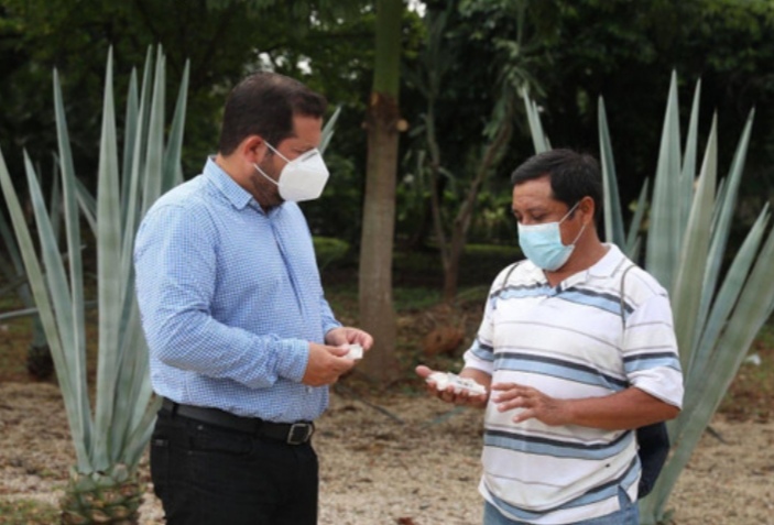 La Seder continúa entregando abejas reina para impulsar la producción apícola en Yucatán