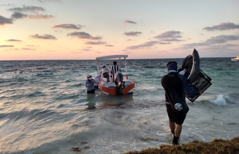 CICY estudia cómo aprovechar el exceso de sargazo en playas del Quintana Roo