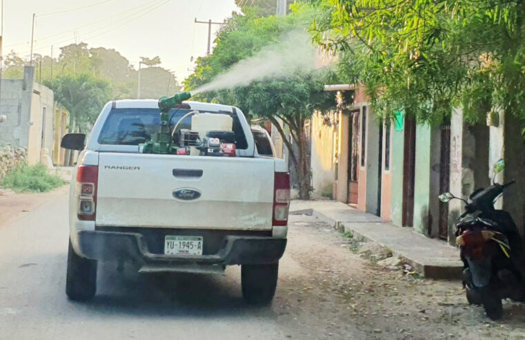Los moscos dejarán de picar a un millón 800 mil yucatecos