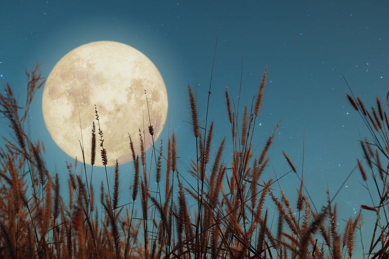 Luna de cosecha ilumina este martes el cielo nocturno