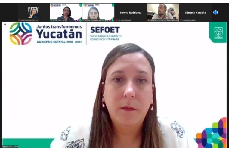 Exportar a Europa, una opción para las Mipymes yucatecas