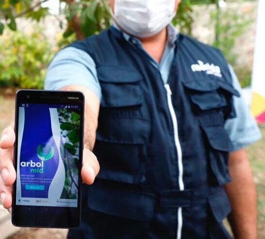 El Ayuntamiento de Mérida extiende sus acciones contra el cambio climático