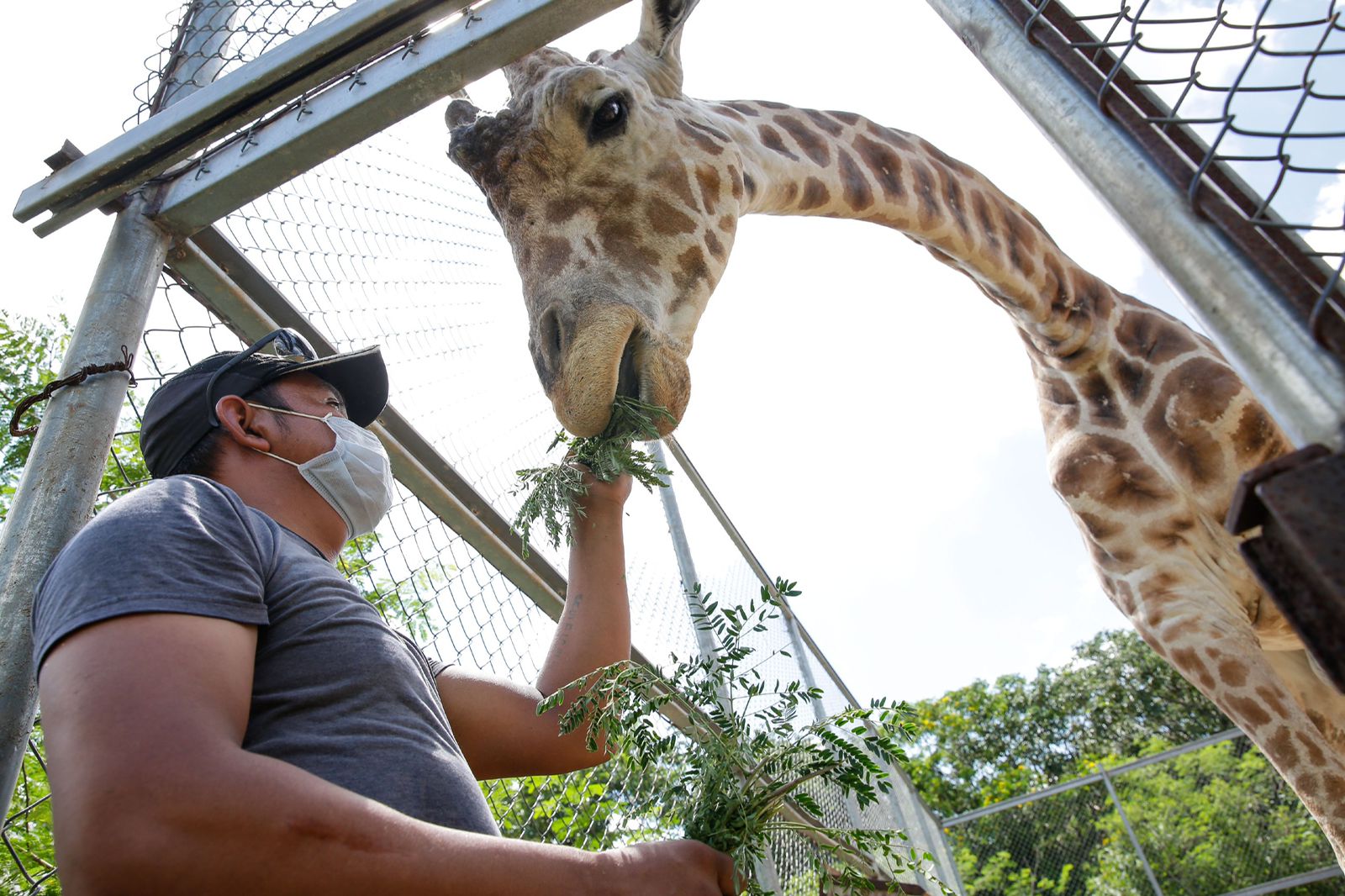 Guardanimales, una vida profesando amor a los residentes de los zoológicos