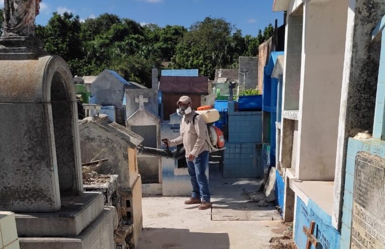 En marcha plan para fumigar todos los cementerios de Yucatán