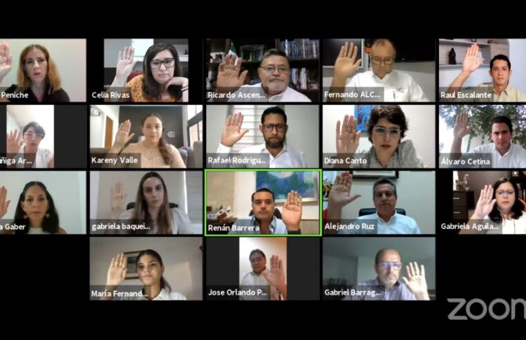 Profesionistas, asociaciones civiles y ediles, revisarªn  el Reglamento de Protección a la Fauna