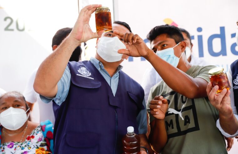 El Ayuntamiento detona el turismo rural