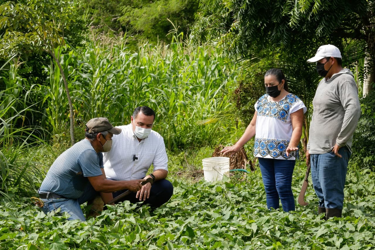 El Ayuntamiento de Mérida apoya proyectos productivos de sus comisarías